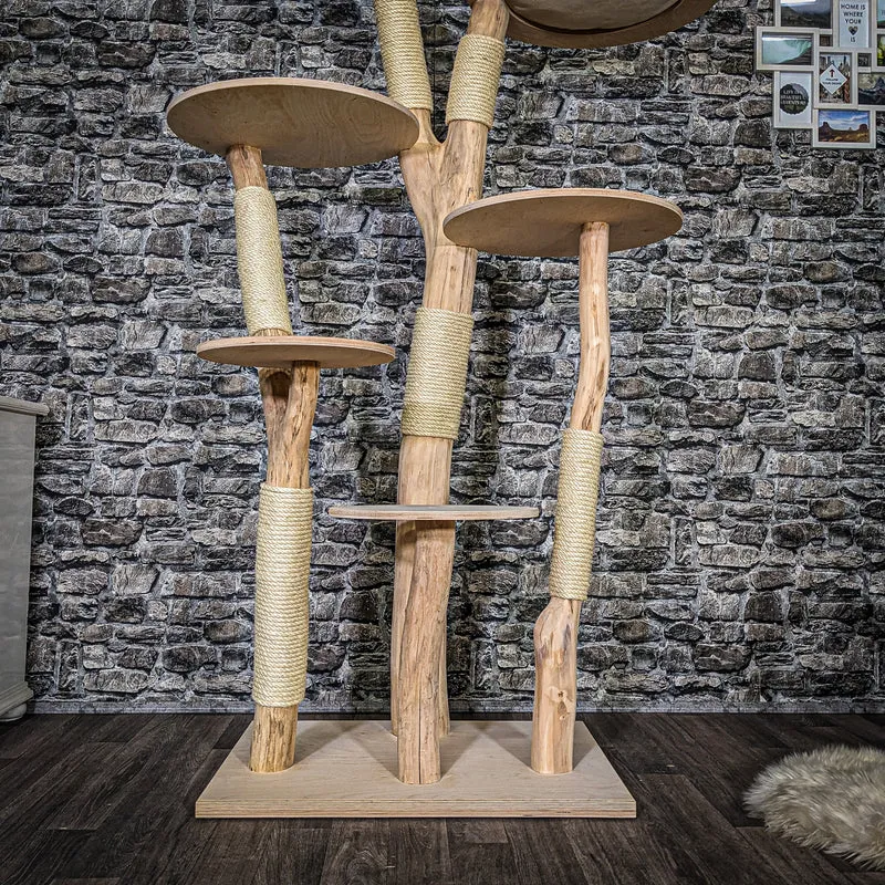 Naturkratzbaum 3664 Kratzbaum Natur Holz Design 200 cm hoch Katzenbaum