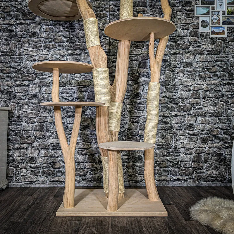 Naturkratzbaum 3658 Kratzbaum Natur Holz Design 230 cm hoch Katzenbaum