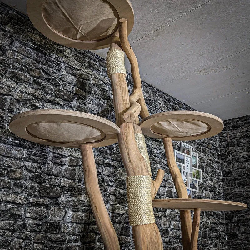 Naturkratzbaum 3658 Kratzbaum Natur Holz Design 230 cm hoch Katzenbaum