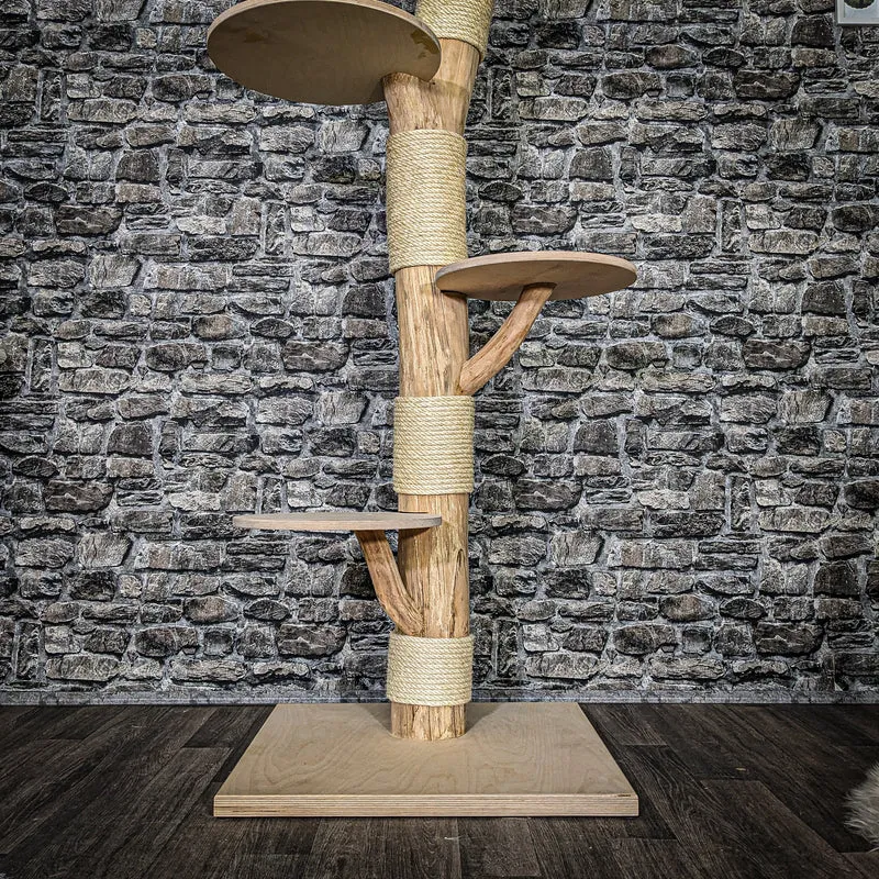 Naturkratzbaum 3651 Kratzbaum Natur Holz Design 200 cm hoch Katzenbaum