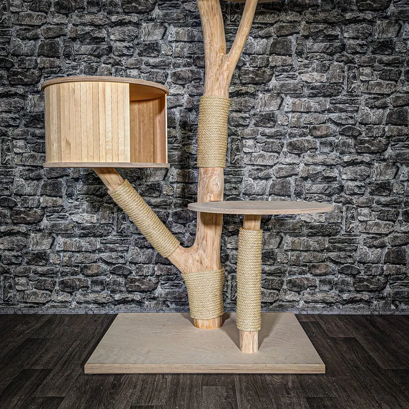Naturkratzbaum 3519 Kratzbaum Natur Holz Design 172 cm hoch Katzenbaum