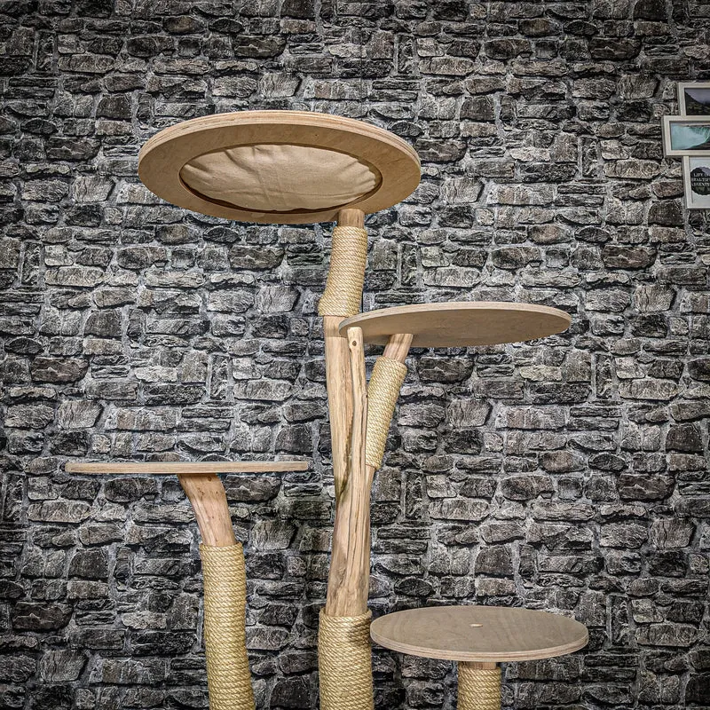 Naturkratzbaum 3506 Kratzbaum Natur Holz Design 145 cm hoch Katzenbaum