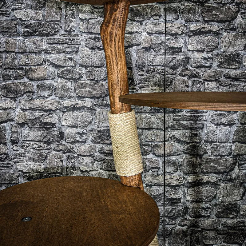 Naturkratzbaum 3273 Kratzbaum Natur Holz Design 170 cm hoch Katzenbaum