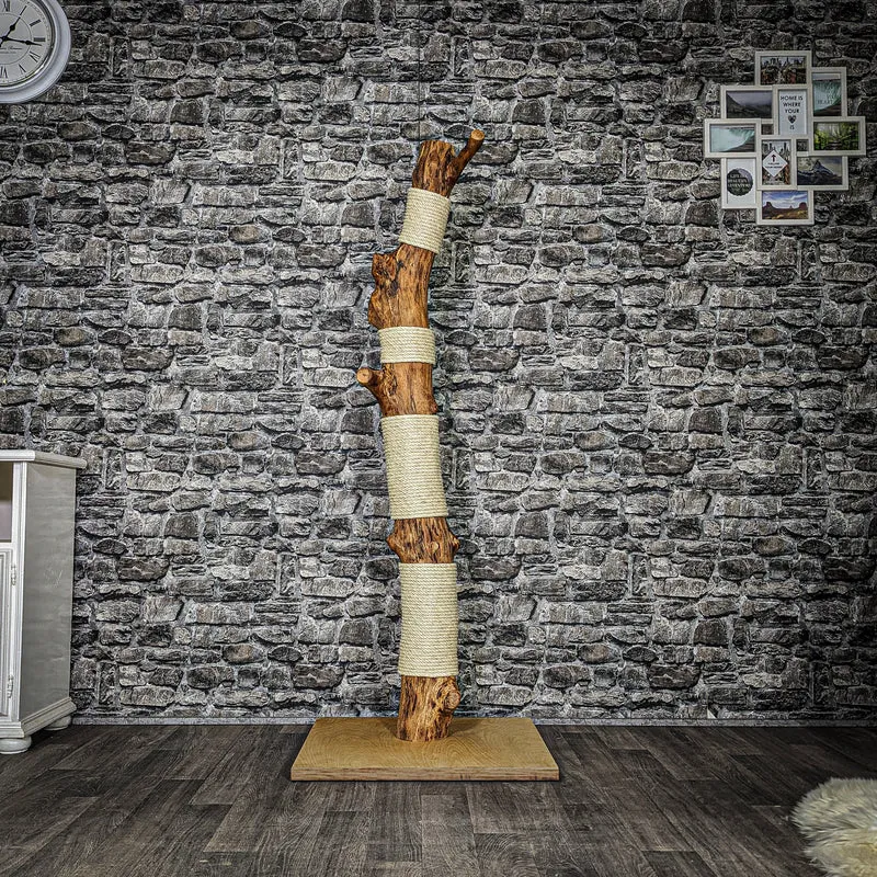 Kratzstamm 3611 Natur Holz Design Kratzbaum 163 cm hoch Naturkratzbaum