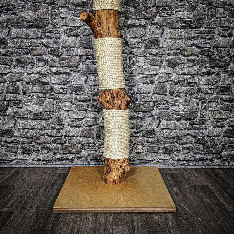Kratzstamm 3611 Natur Holz Design Kratzbaum 163 cm hoch Naturkratzbaum