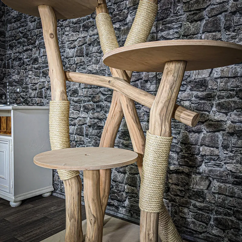 Naturkratzbaum 3609 Kratzbaum Natur Holz Design 203 cm hoch Katzenbaum
