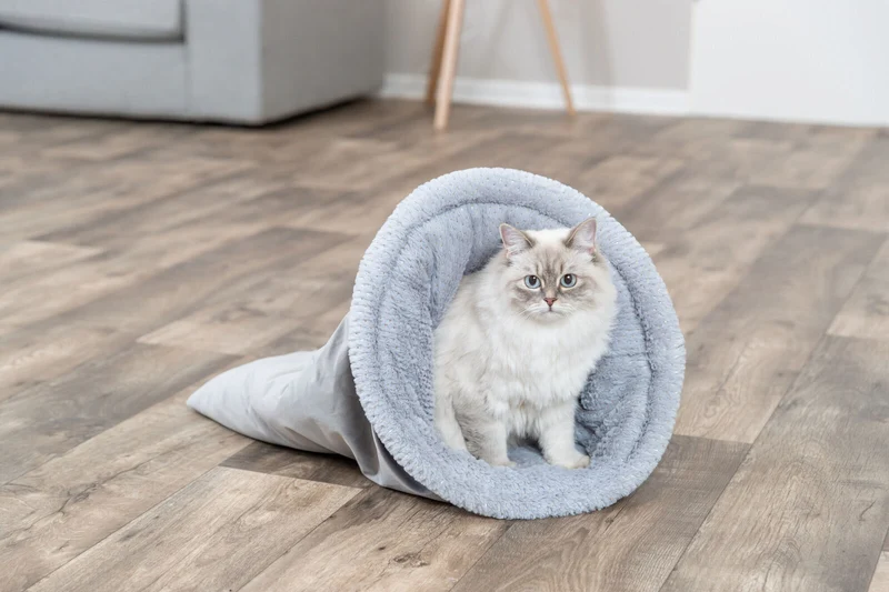 Kuschelsack Livia Soft