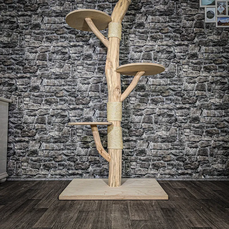 Naturkratzbaum 3589 Kratzbaum Natur Holz Design 186 cm hoch Katzenbaum