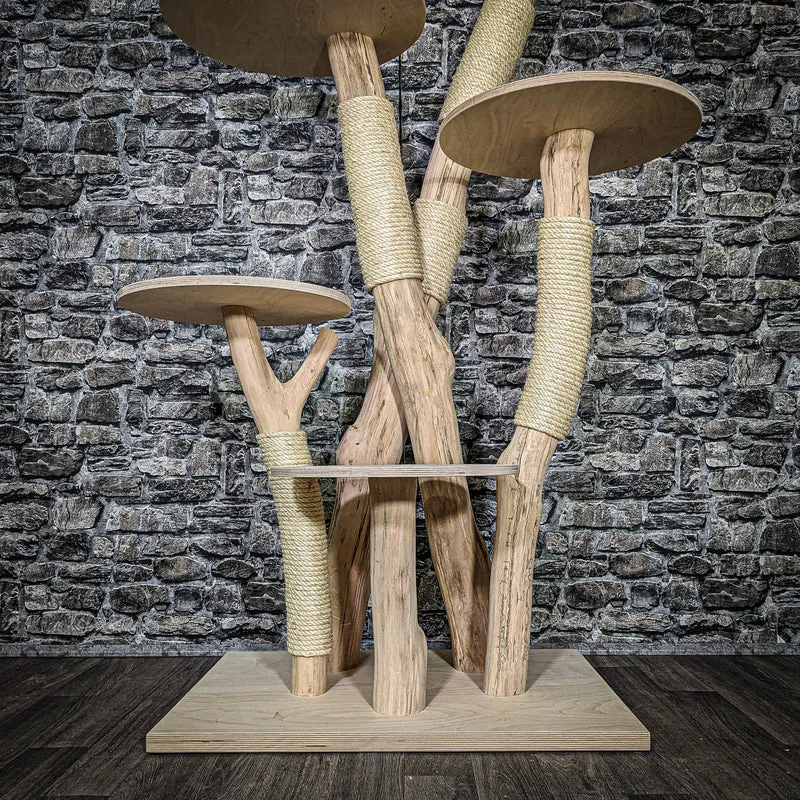 Naturkratzbaum 3577 Kratzbaum Natur Holz Design 156 cm hoch Katzenbaum