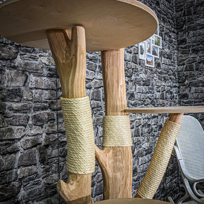 Naturkratzbaum 3560 Kratzbaum Natur Holz Design 200 cm hoch Katzenbaum