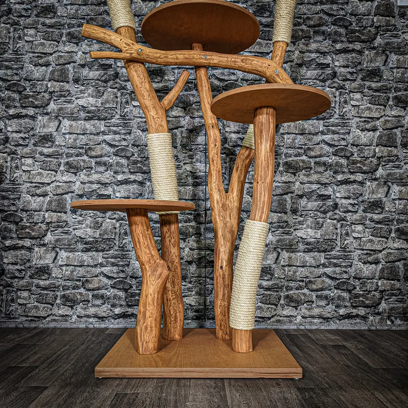 Outdoor Naturkratzbaum 3556 Kratzbaum Natur Holz Design 158 cm hoch Katzenbaum