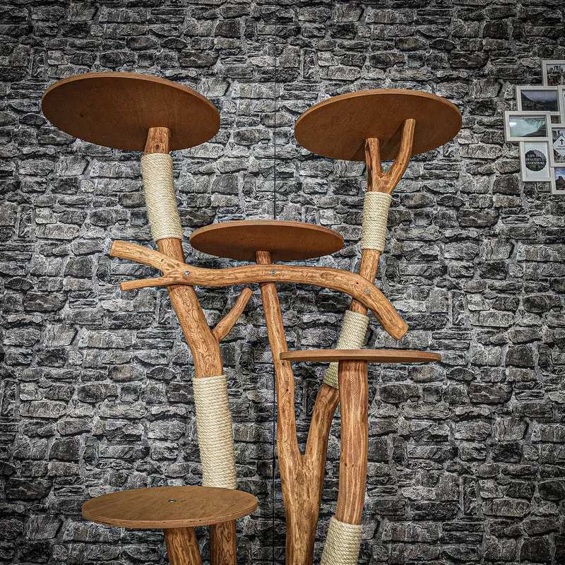 Outdoor Naturkratzbaum 3556 Kratzbaum Natur Holz Design 158 cm hoch Katzenbaum