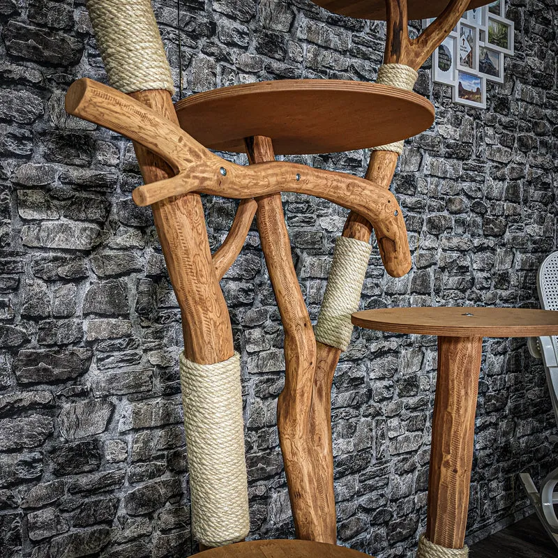Outdoor Naturkratzbaum 3556 Kratzbaum Natur Holz Design 158 cm hoch Katzenbaum