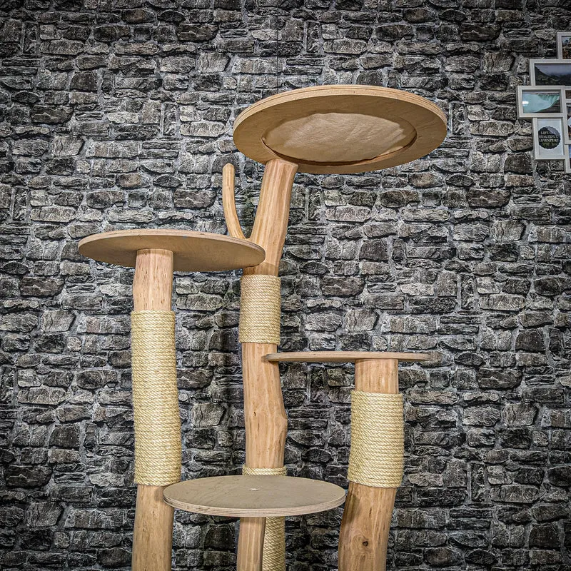 Naturkratzbaum 3554 Kratzbaum Natur Holz Design 145 cm hoch Katzenbaum