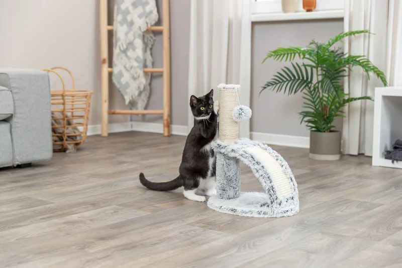 Kratzstamm Winnie