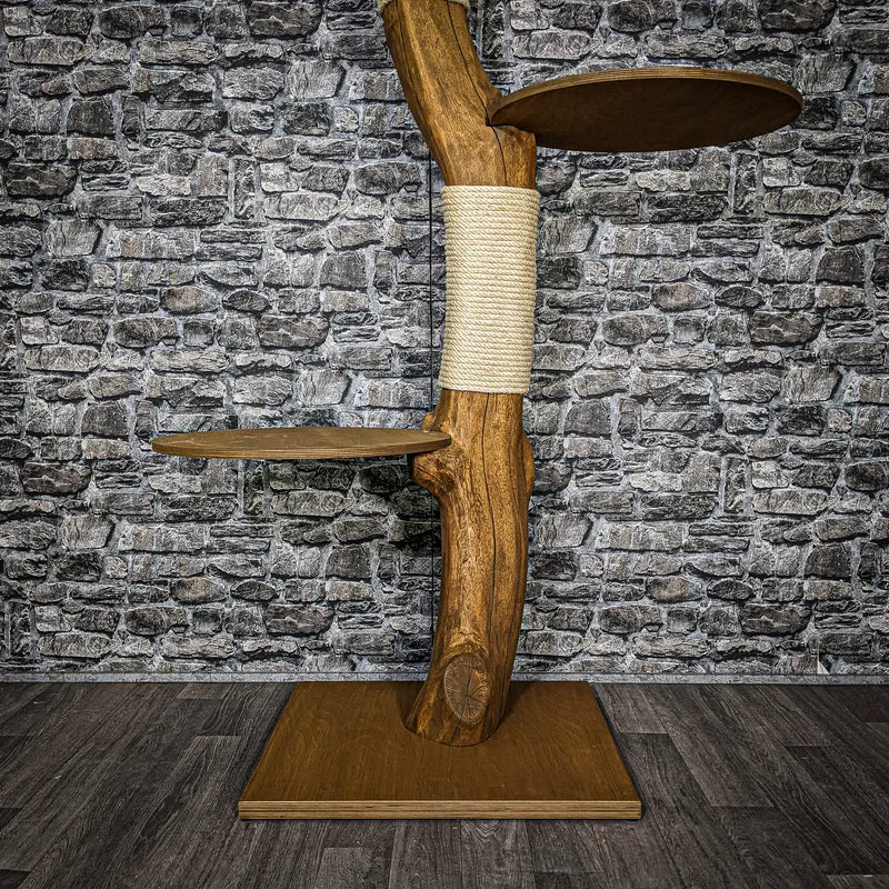 Outdoor Naturkratzbaum 3468 Kratzbaum Natur Holz Design 166 cm hoch Katzenbaum