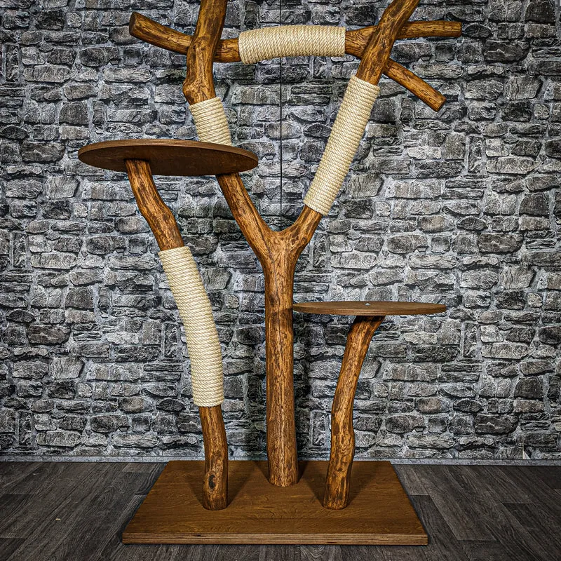 Outdoor Naturkratzbaum 3466 Kratzbaum Natur Holz Design 206 cm hoch Katzenbaum
