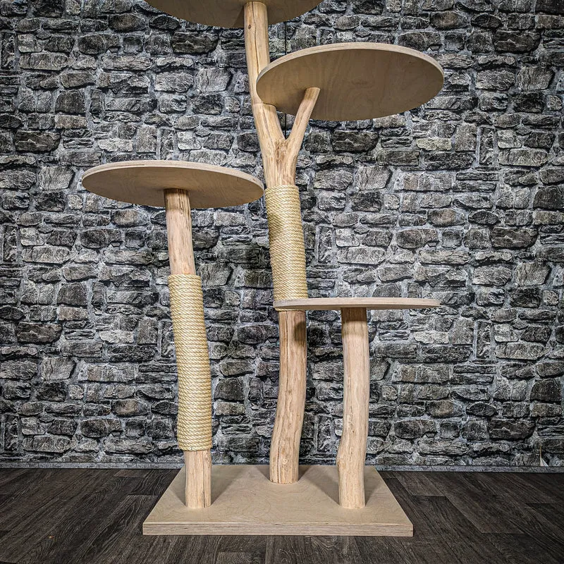 Naturkratzbaum 3461 Kratzbaum Natur Holz Design 144 cm hoch Katzenbaum