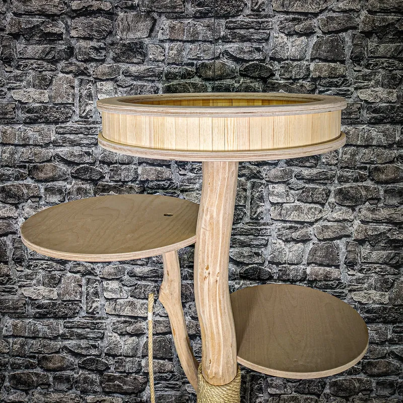 Naturkratzbaum 3452 Kratzbaum Natur Holz Design 176 cm hoch Katzenbaum