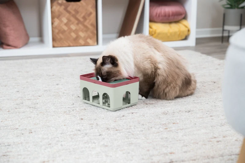 Rod Box Katzenspiel zur Beschäftigung auf zwei Ebenen