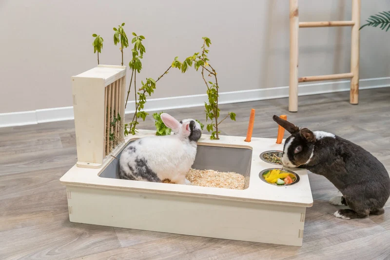 Futterstation