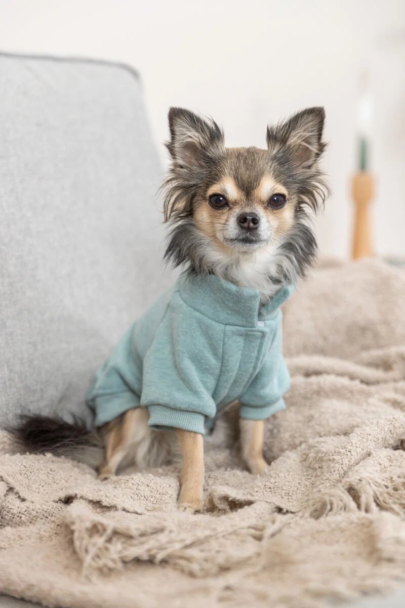 Sweatshirt Littleton