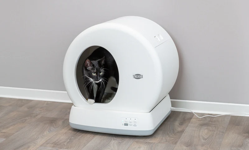 Selbstreinigende Katzentoilette