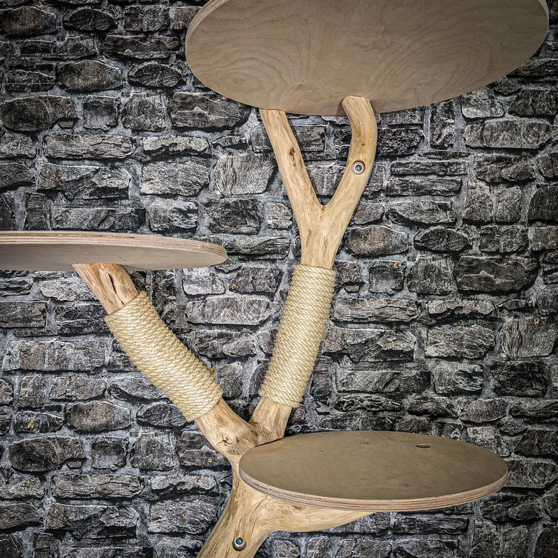 Wandkratzbaum 3427 Naturkratzbaum 158 cm lang Kratzbaum Natur Holz Design