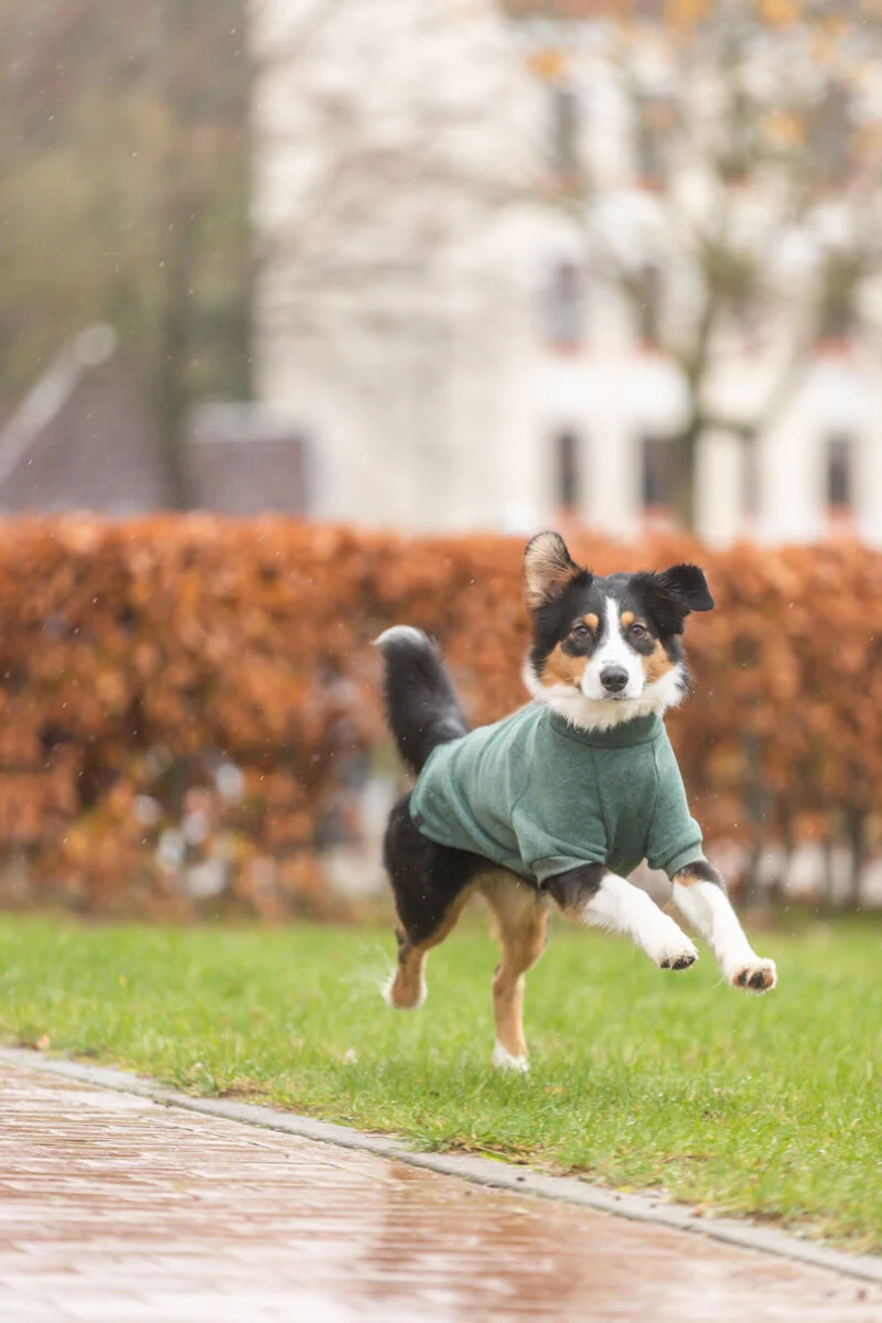 Sweatshirt CityStyle Amsterdam