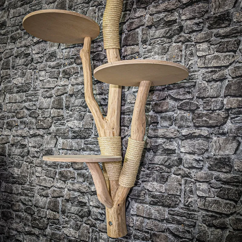 Wandkratzbaum 3354 Naturkratzbaum 138 cm hoch Kratzbaum Natur Holz Design
