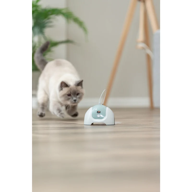 Katzenspielzeug Catch Me mit Motor und Fernbedienung