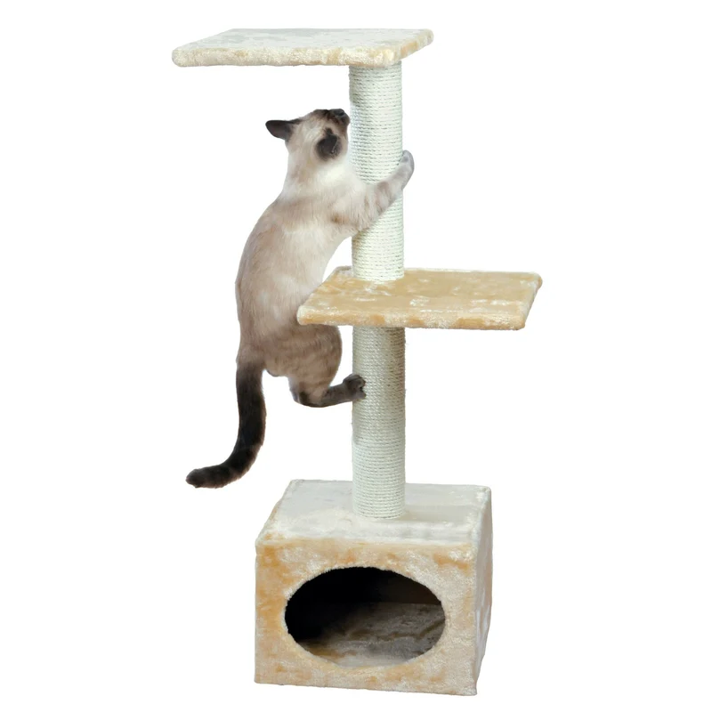Kratzbaum Badalona