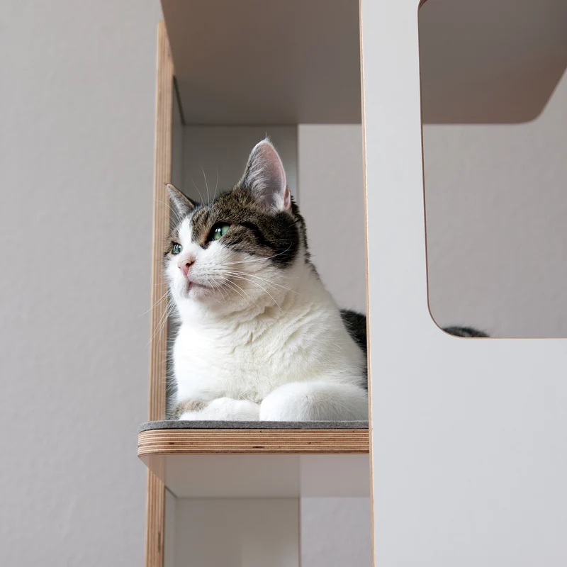 KRATZ- & LIEGETURM für Katzen mit Kratzfläche