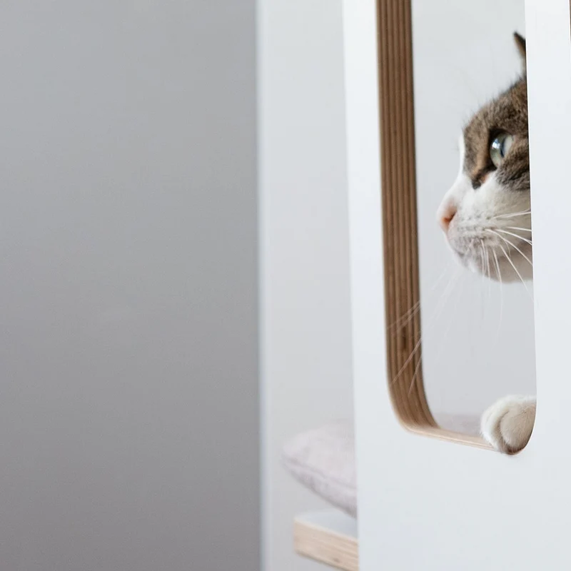 KRATZ- & LIEGETURM für Katzen mit Kratzfläche