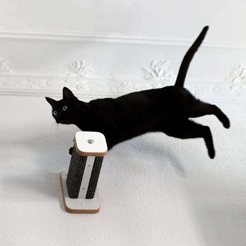 KATZENARTistik | Kletterwand Set - 1 KLETTERSTAMM + 2 Hüpfstämme