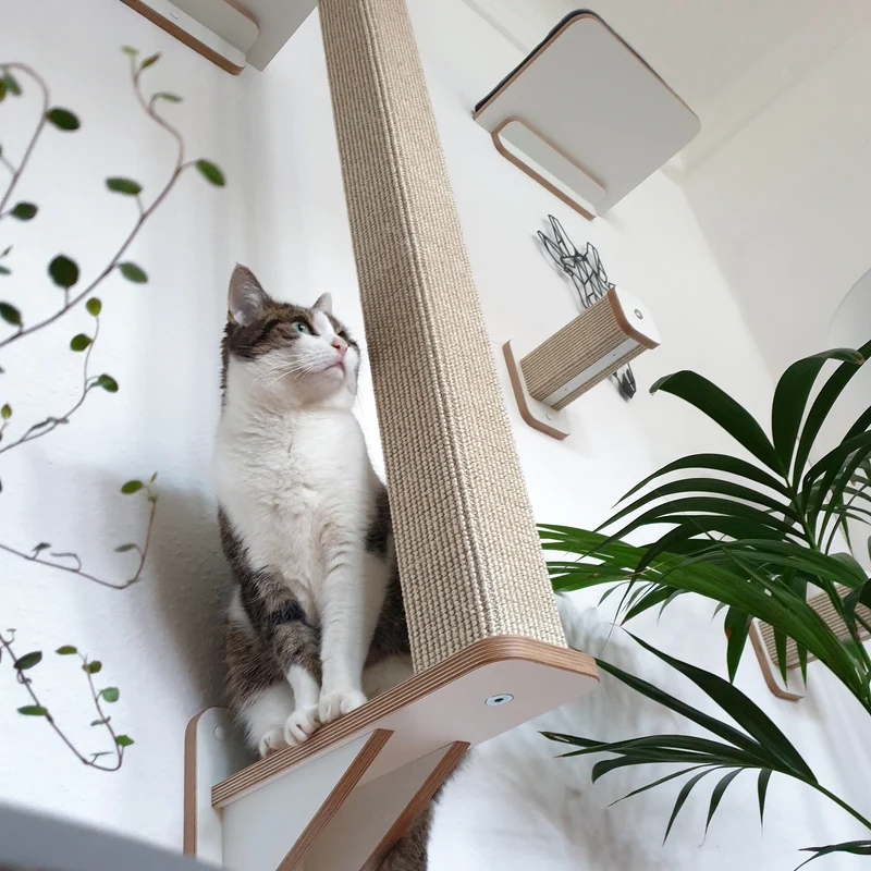 KATZENARTistik | Kletterwand Set - 1 KLETTERSTAMM + 2 Hüpfstämme