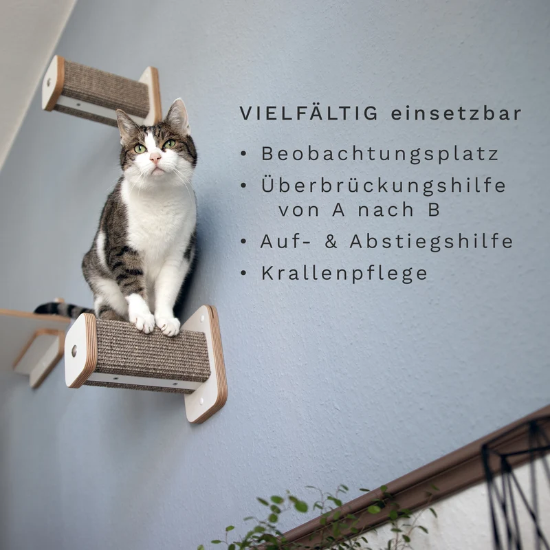 KATZENA(R)Thletik | Kletterwand Set - 3 HÜPFSTÄMME für Katzen