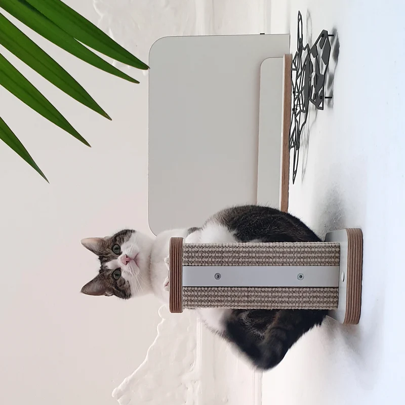 KATZENA(R)Thletik | Kletterwand Set - 3 HÜPFSTÄMME für Katzen
