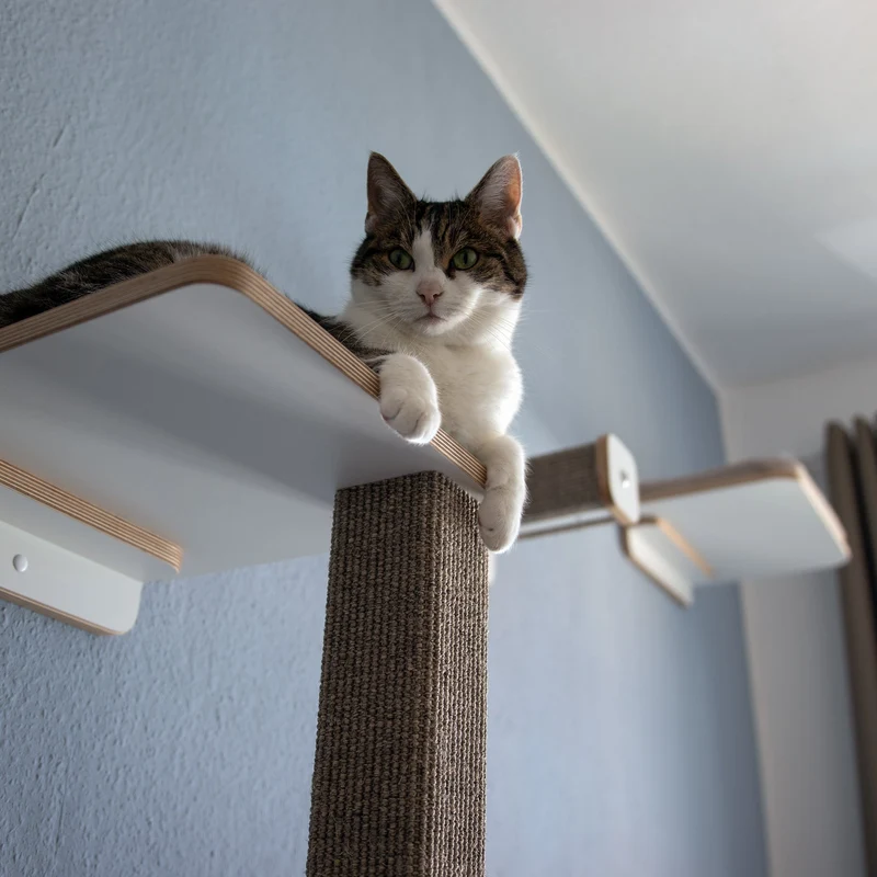 Vollpfosten schwebend | KLETTER-KRATZSTAMM aus Sisal für Katzen - Kratzsäule 78cm, 98cm, 118cm, 148cm