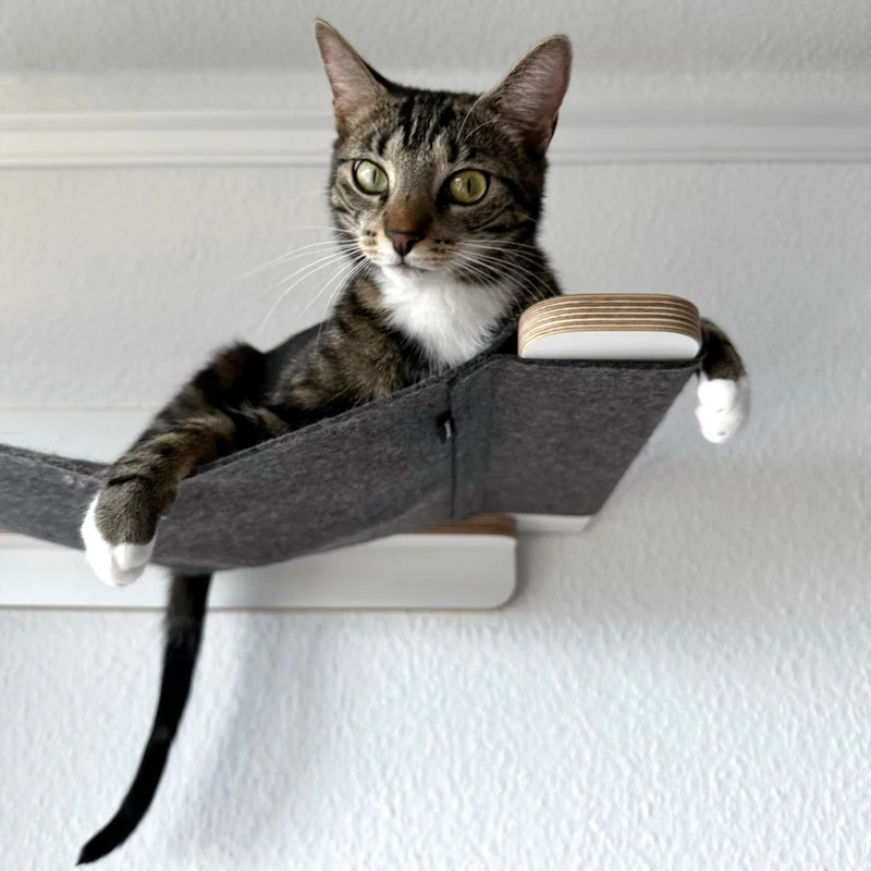 KATZENpARTy | Kletterwand Set - 1 KLETTERSTAMM mit HÄNGEMATTE + 2 Hüpfstämme