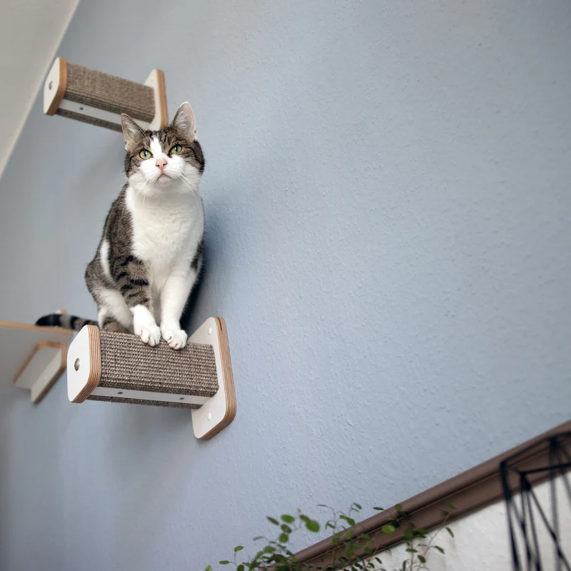 KATZENpARTy | Kletterwand Set - 1 KLETTERSTAMM mit HÄNGEMATTE + 2 Hüpfstämme
