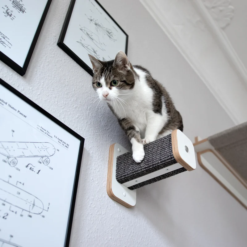 KATZENpARTy | Kletterwand Set - 1 KLETTERSTAMM mit HÄNGEMATTE + 2 Hüpfstämme