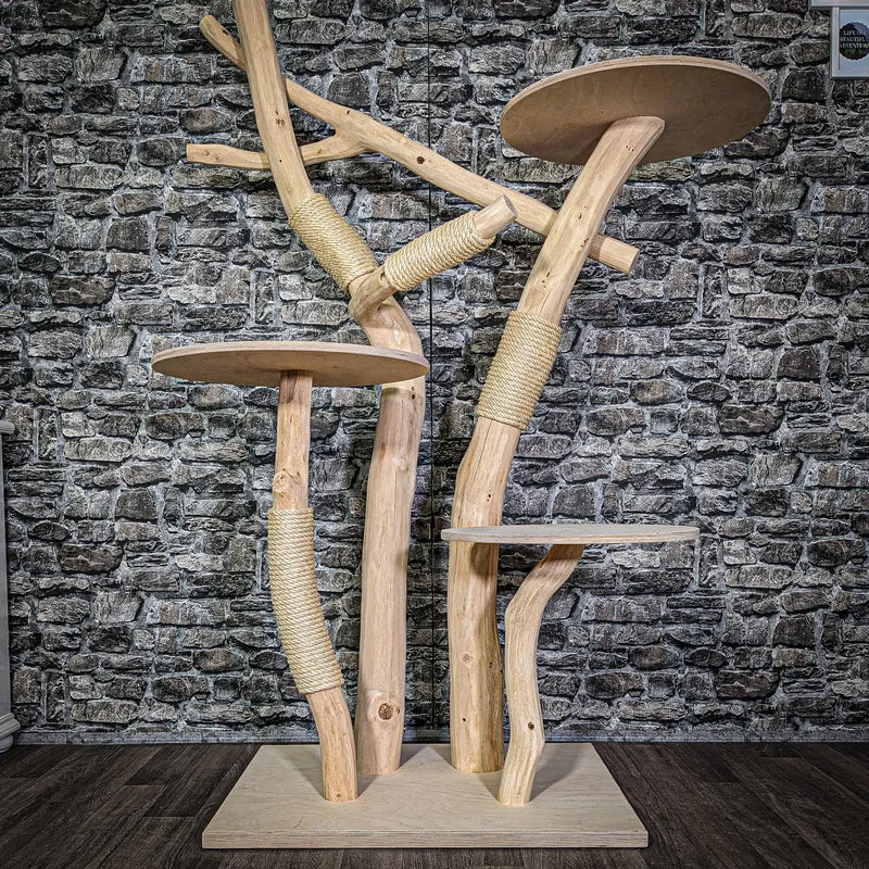 Naturkratzbaum 3312 Kratzbaum Natur Holz Design 165 cm hoch Katzenbaum
