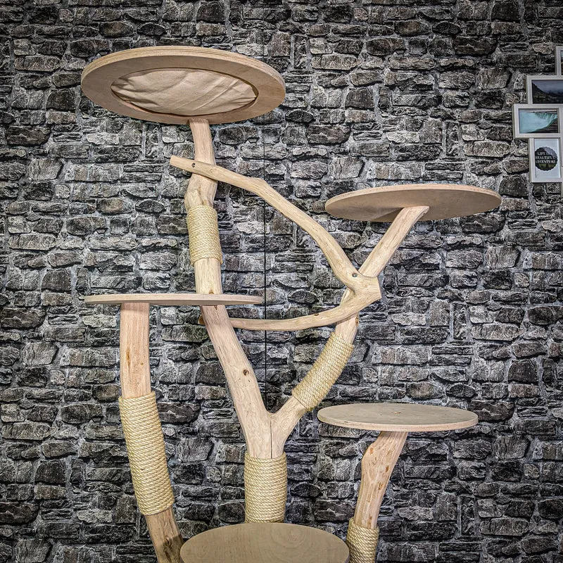 Naturkratzbaum 3305 Kratzbaum Natur Holz Design 175 cm hoch Katzenbaum