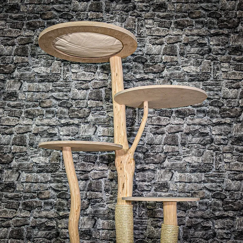 Naturkratzbaum 3290 Kratzbaum Natur Holz Design 174 cm hoch Katzenbaum