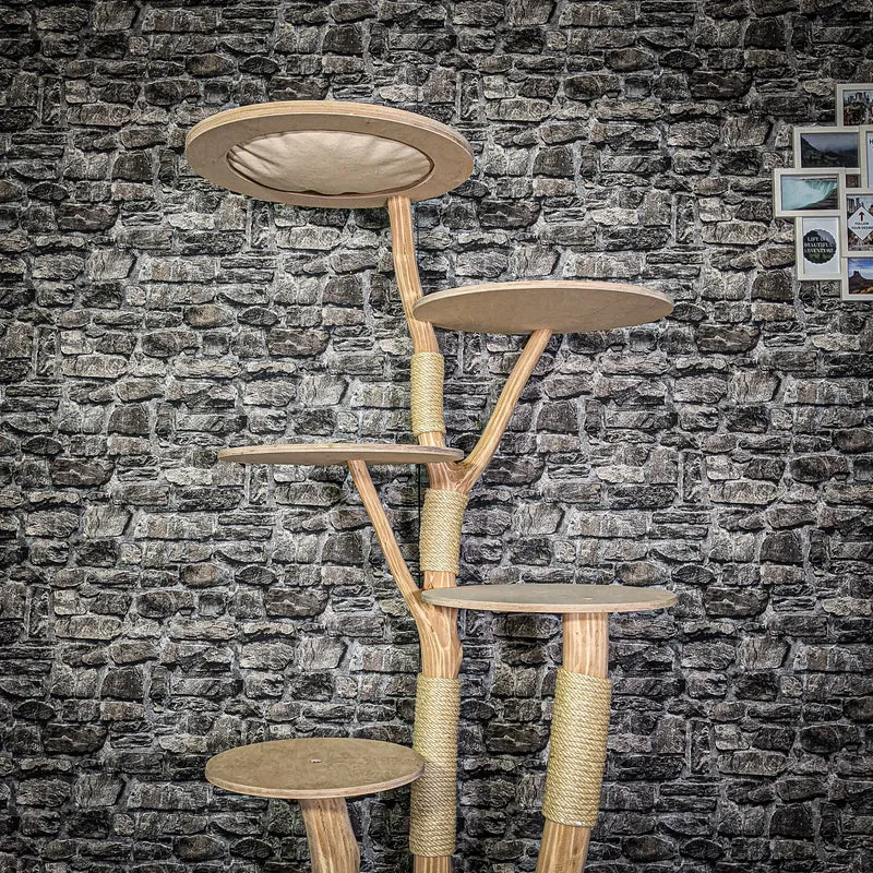 Naturkratzbaum 3281 Kratzbaum Natur Holz Design 172 cm hoch Katzenbaum