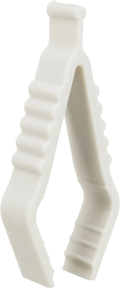 Calcium-Stein mit Sepia