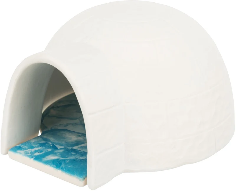 Iglu mit Kühlplatte