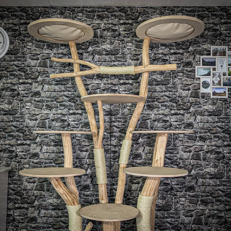 Naturkratzbaum 3149 Kratzbaum Natur Holz Design 206 cm hoch Katzenbaum