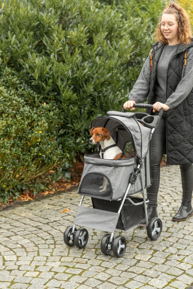 Buggy mit 4 Rädern für Hunde bis 15 kg